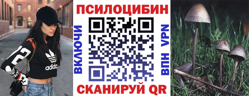 Галлюциногенные грибы мицелий  Купить где  Владимир 